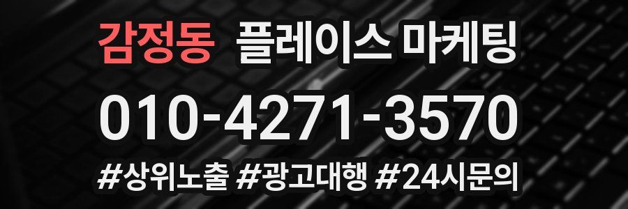 감정동 플레이스 마케팅