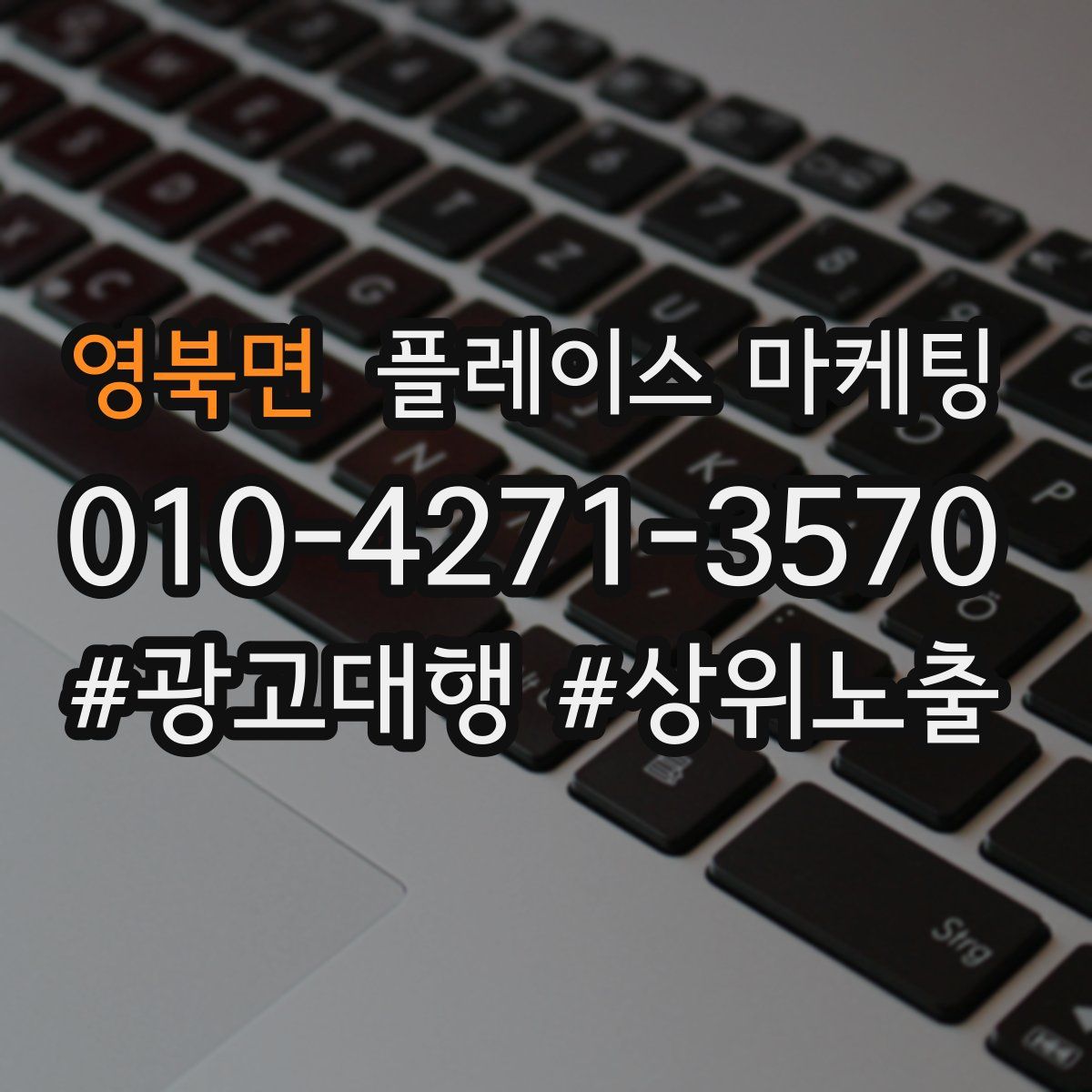 영북면 플레이스 마케팅
