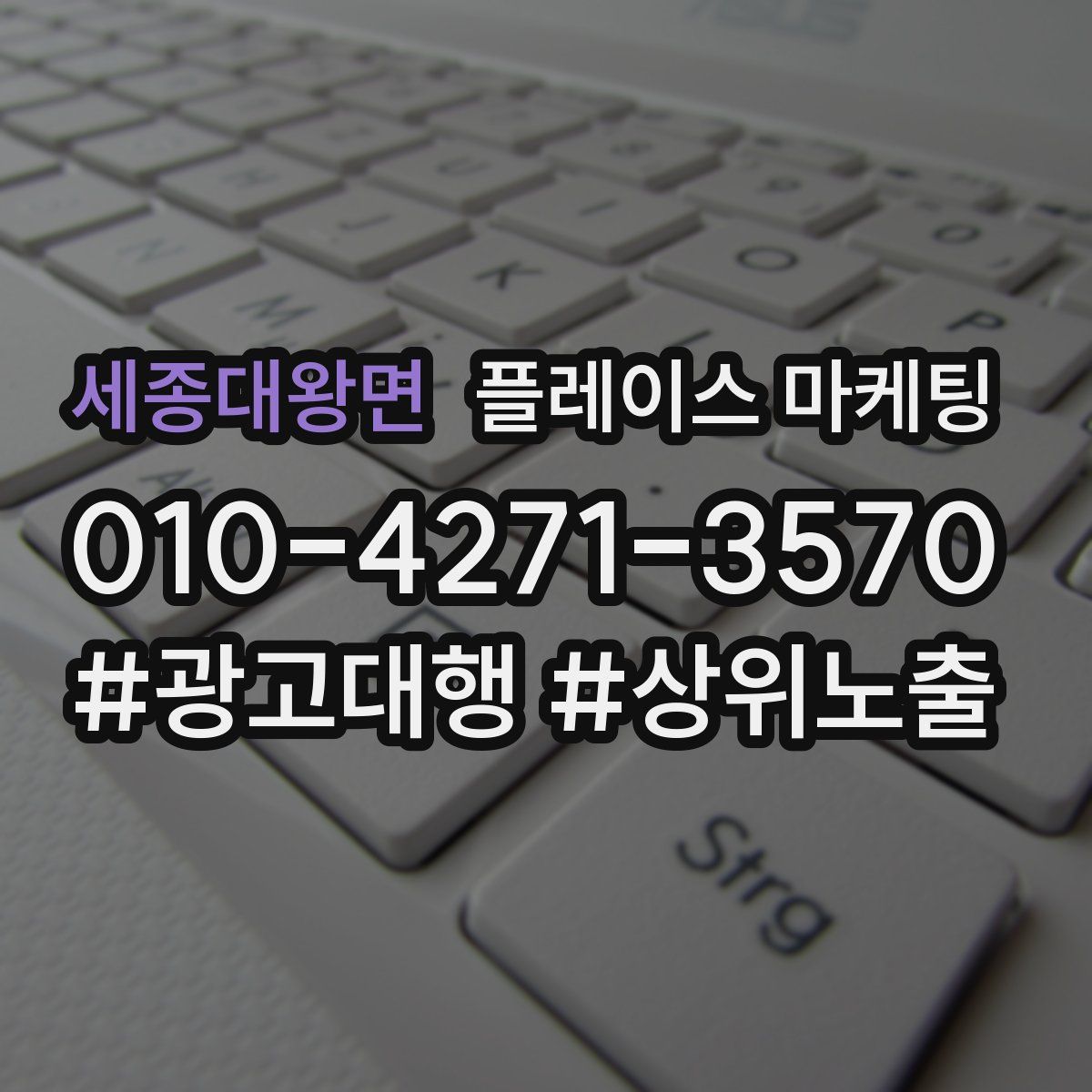 세종대왕면 플레이스 마케팅