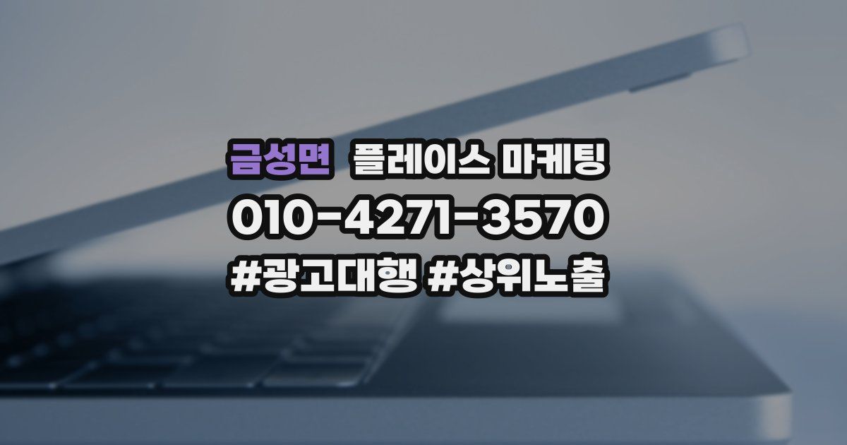 금성면 플레이스 마케팅