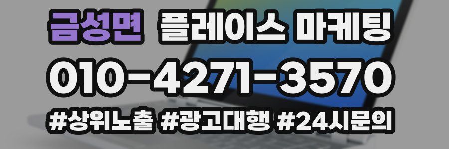 금성면 플레이스 마케팅