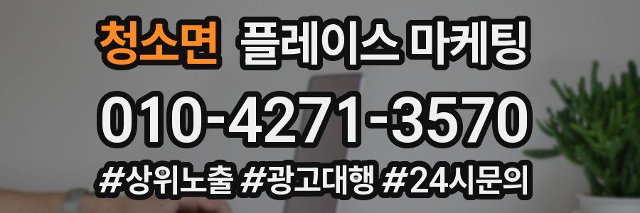 청소면 플레이스 마케팅