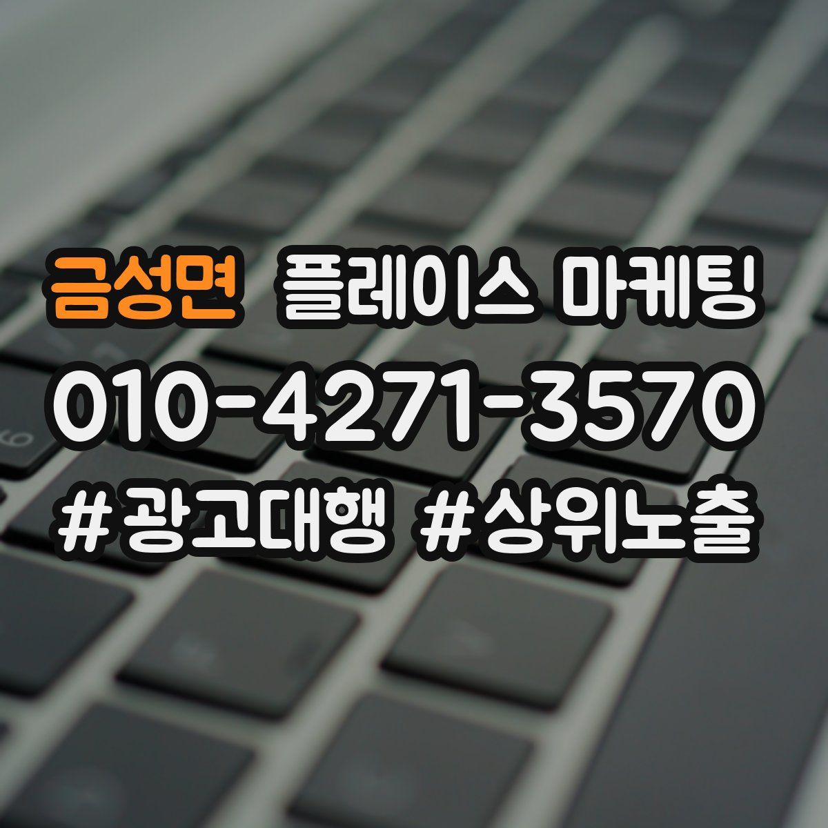 금성면 플레이스 마케팅