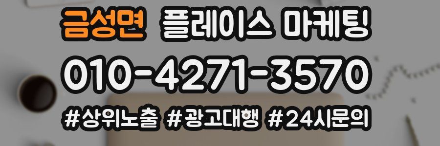 금성면 플레이스 마케팅
