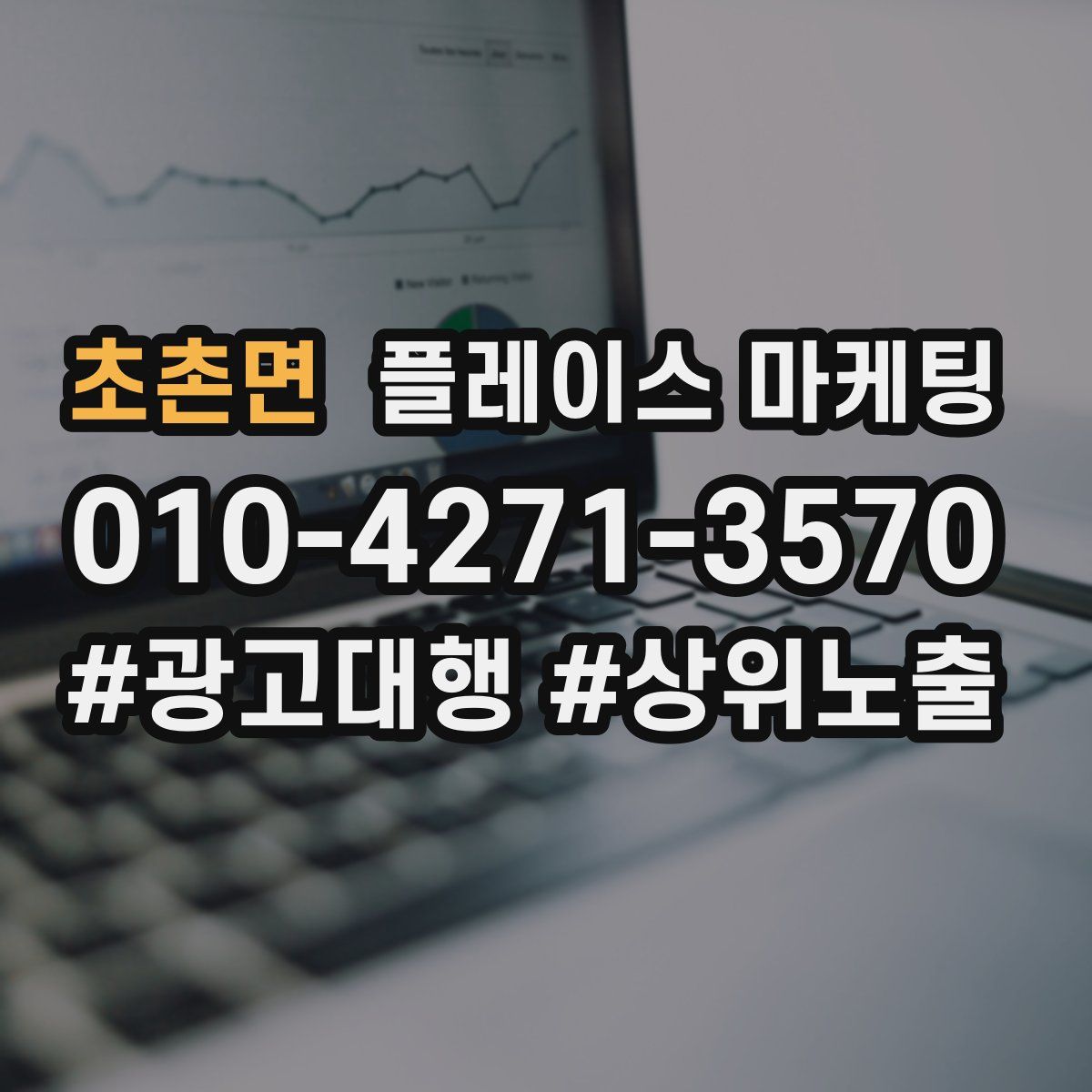 초촌면 플레이스 마케팅