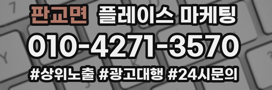 판교면 플레이스 마케팅
