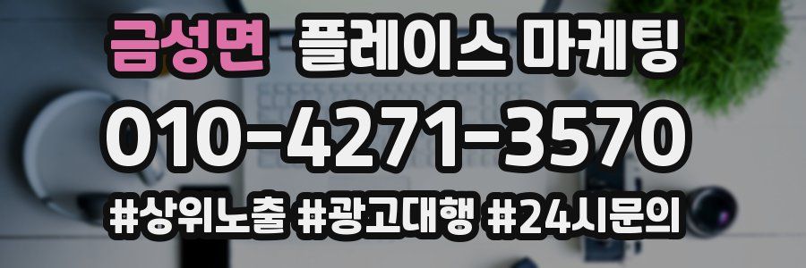 금성면 플레이스 마케팅