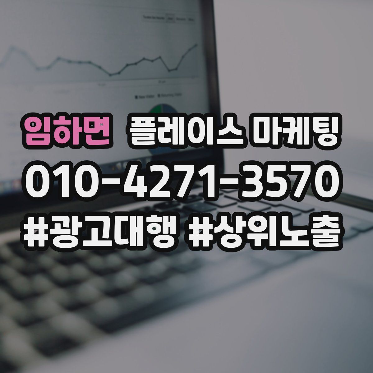 임하면 플레이스 마케팅