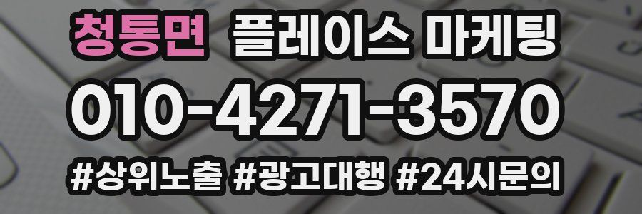 청통면 플레이스 마케팅
