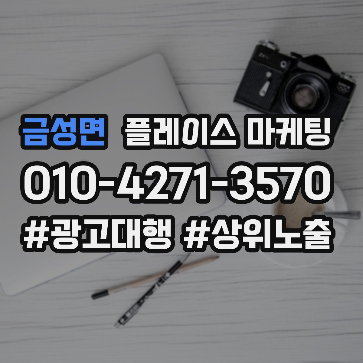 금성면 플레이스 마케팅