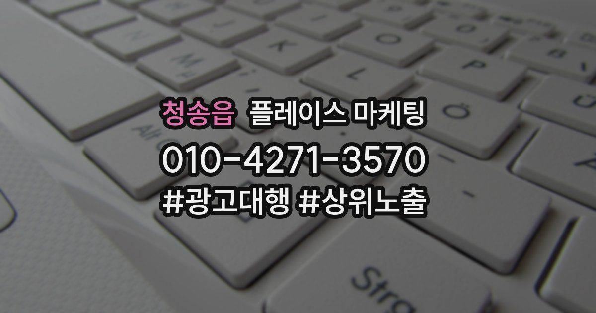청송읍 플레이스 마케팅