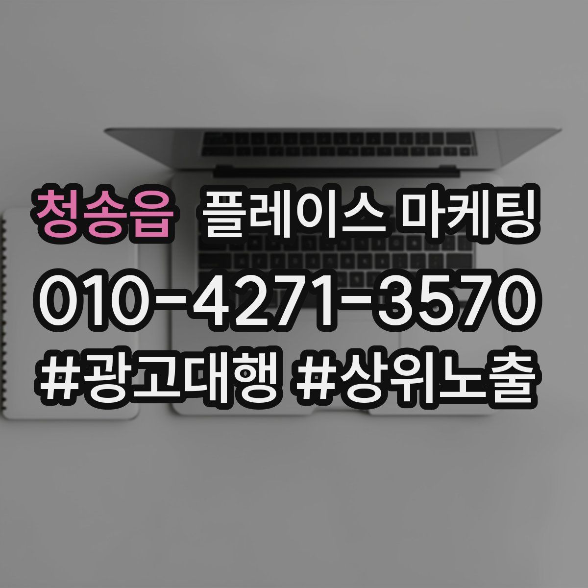 청송읍 플레이스 마케팅