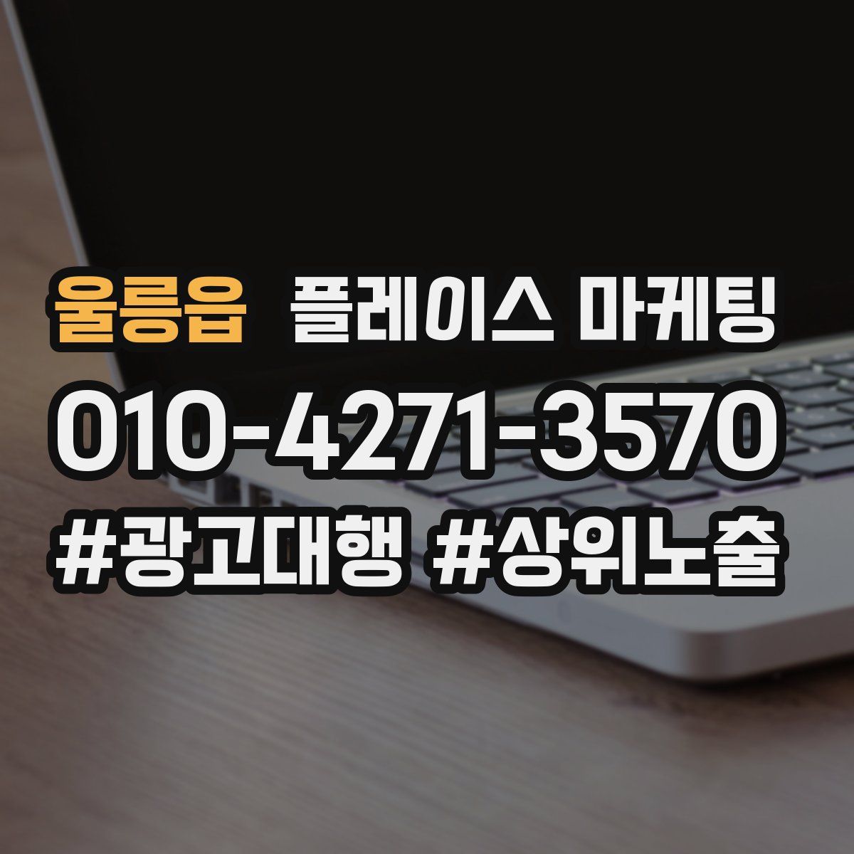 울릉읍 플레이스 마케팅
