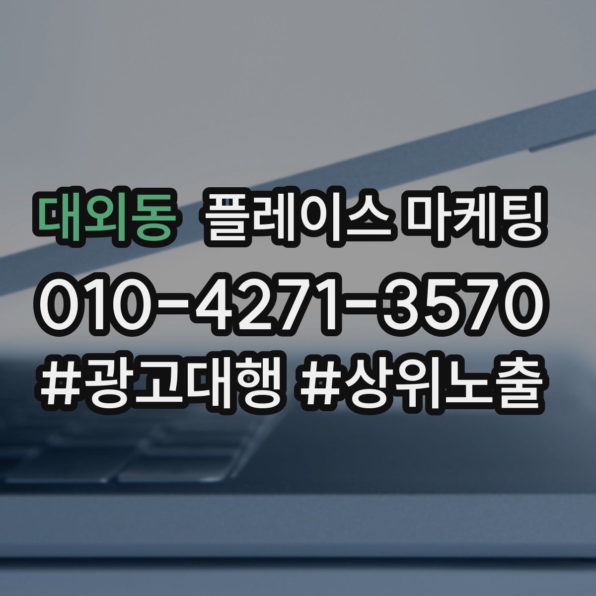 대외동 플레이스 마케팅