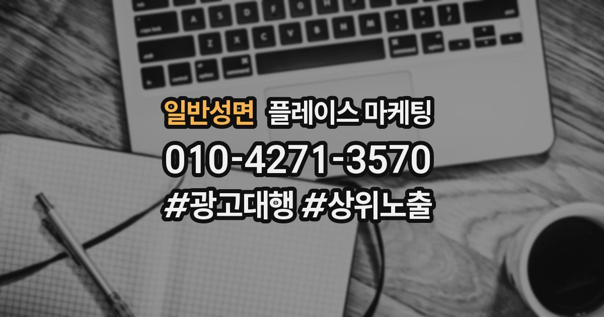 일반성면 플레이스 마케팅