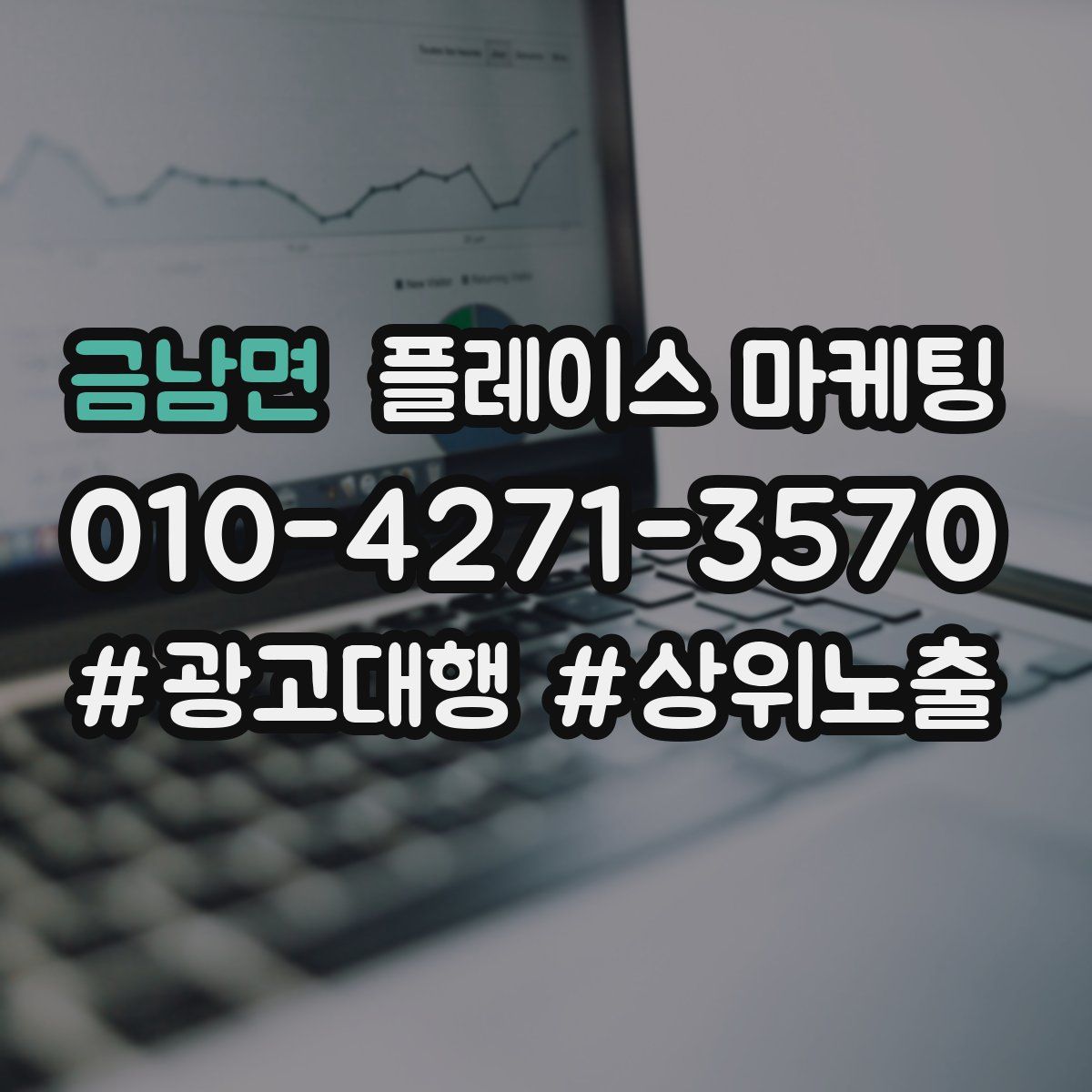 금남면 플레이스 마케팅