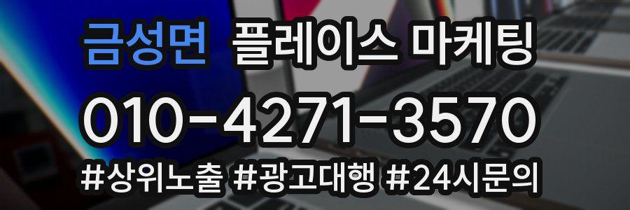 금성면 플레이스 마케팅