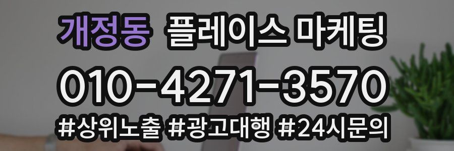개정동 플레이스 마케팅