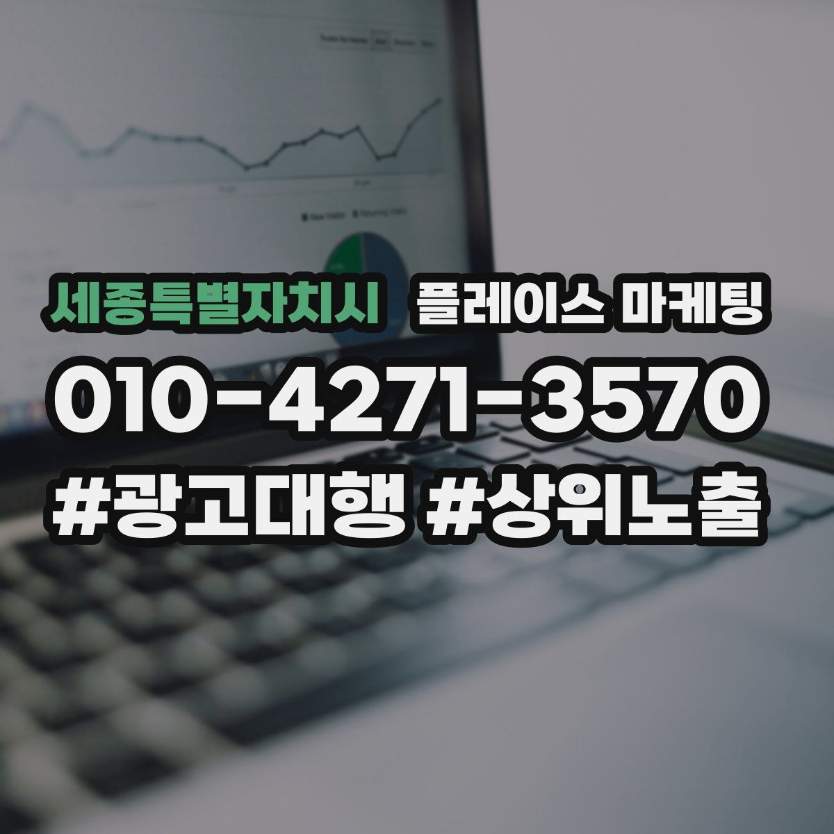 세종특별자치시 플레이스 마케팅