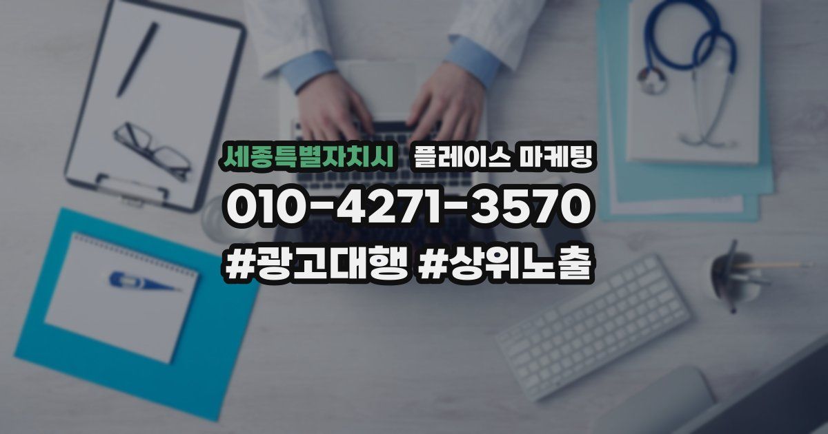 세종특별자치시 플레이스 마케팅