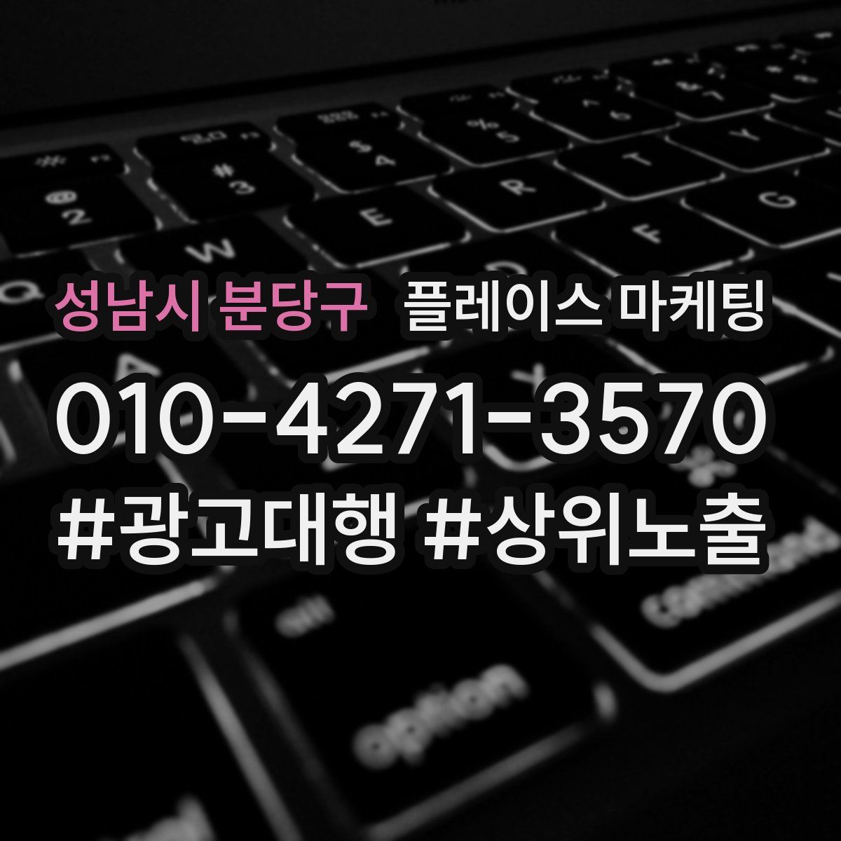 성남시 분당구 플레이스 마케팅