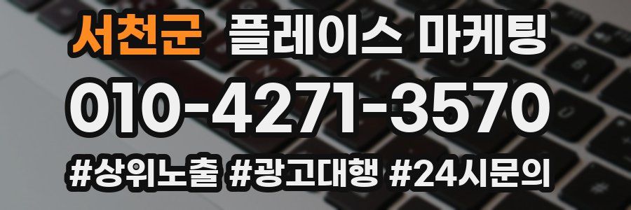 서천군 플레이스 마케팅