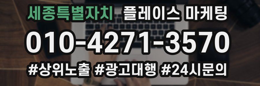 세종특별자치 플레이스 마케팅