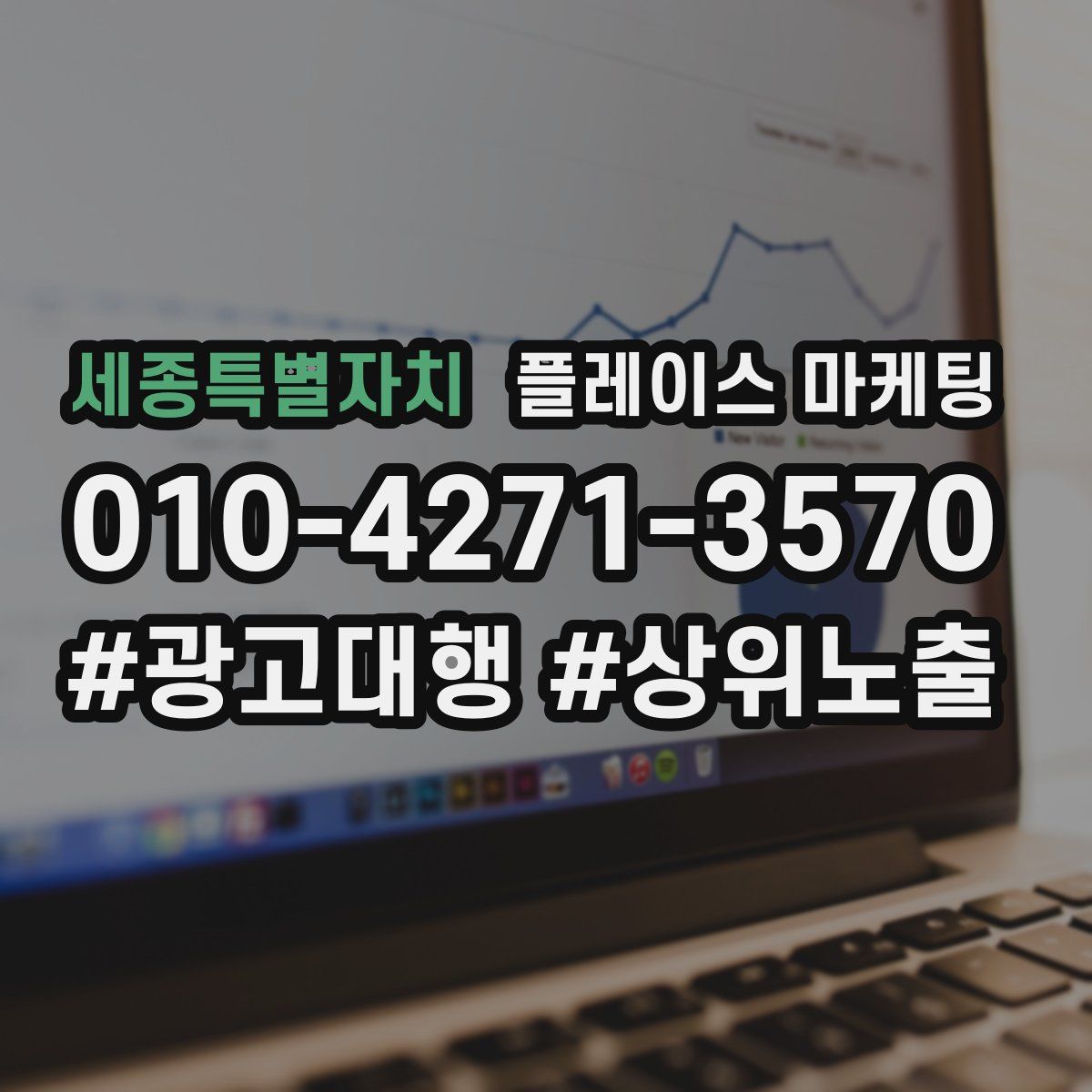 세종특별자치 플레이스 마케팅