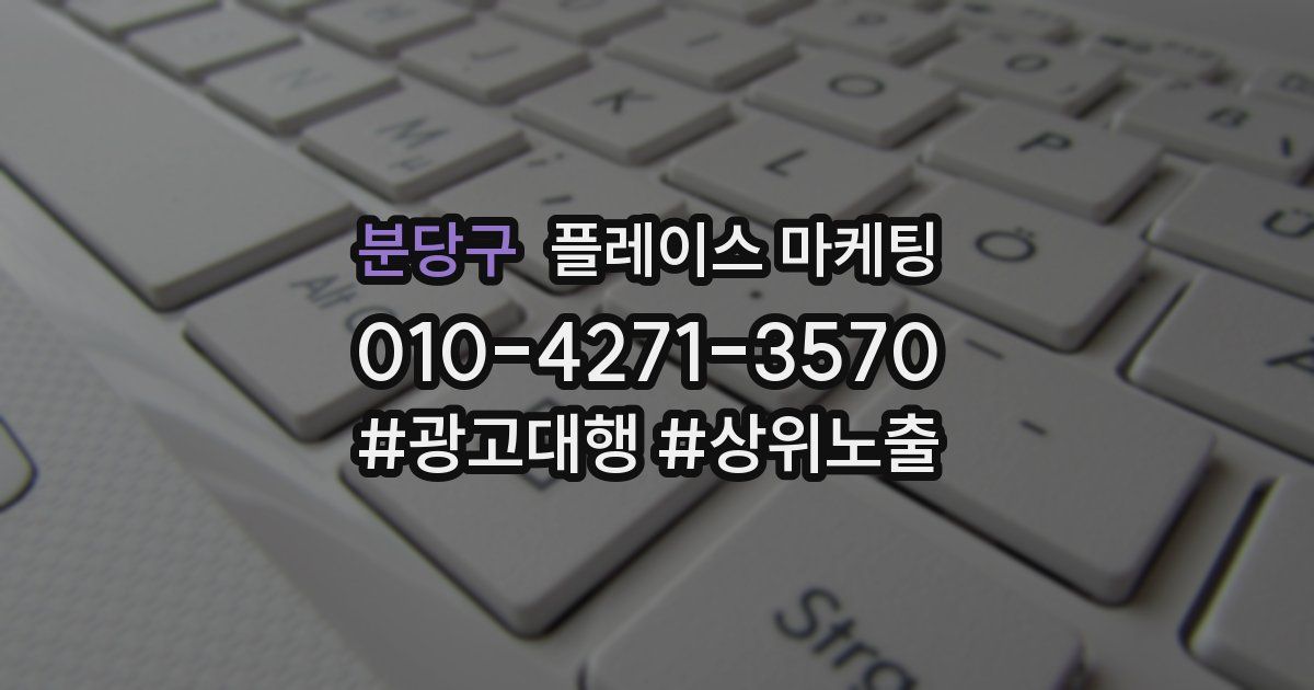 분당구 플레이스 마케팅