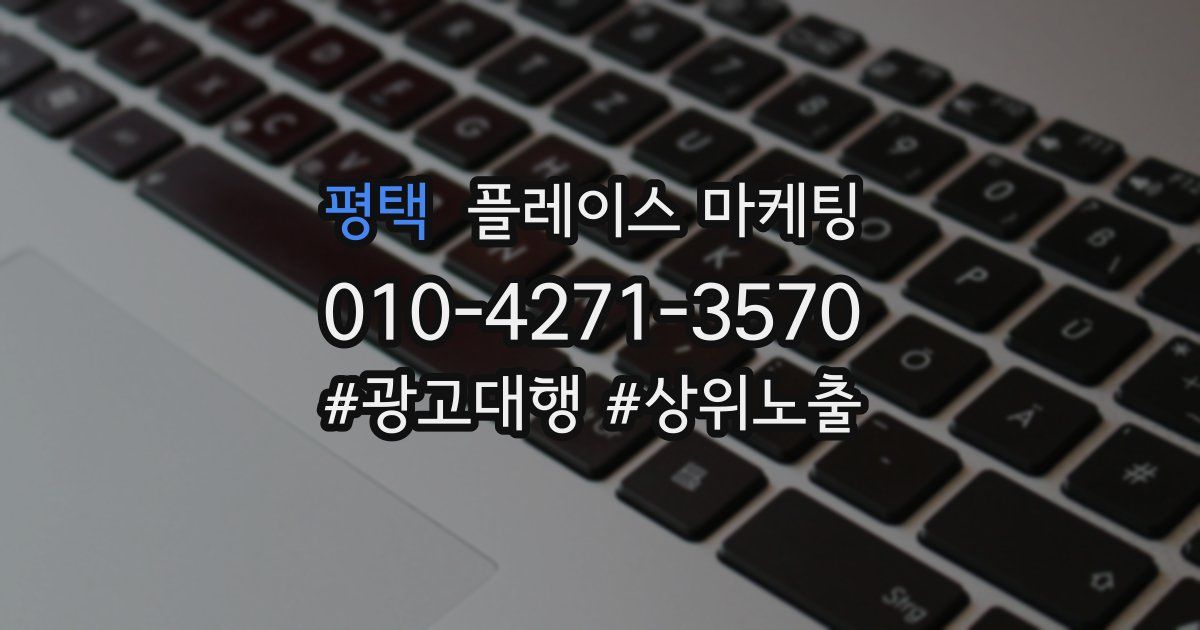 평택 플레이스 마케팅
