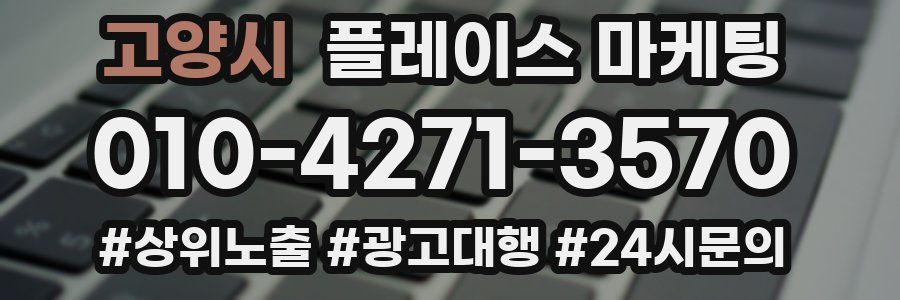 고양시 플레이스 마케팅