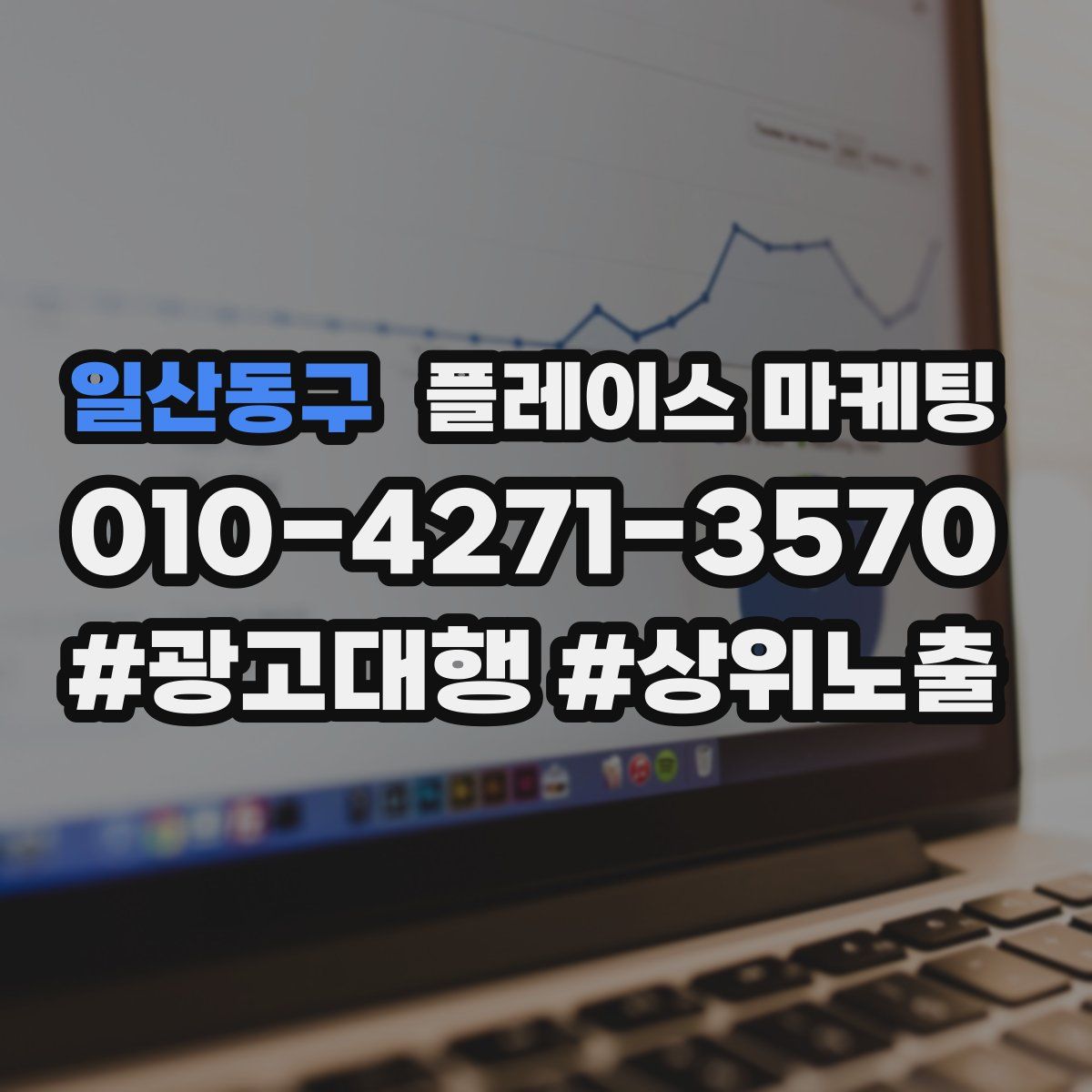 일산동구 플레이스 마케팅