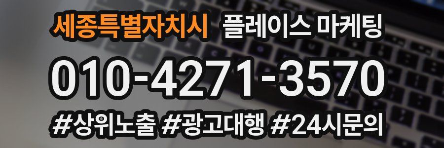 세종특별자치시 플레이스 마케팅