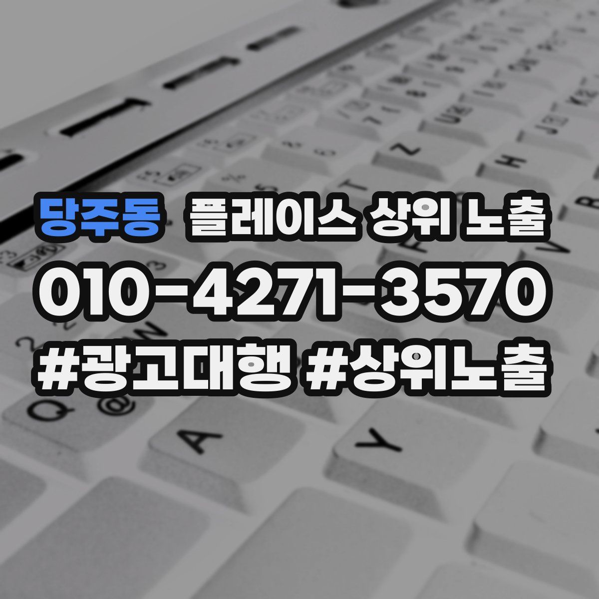 당주동 플레이스 상위 노출