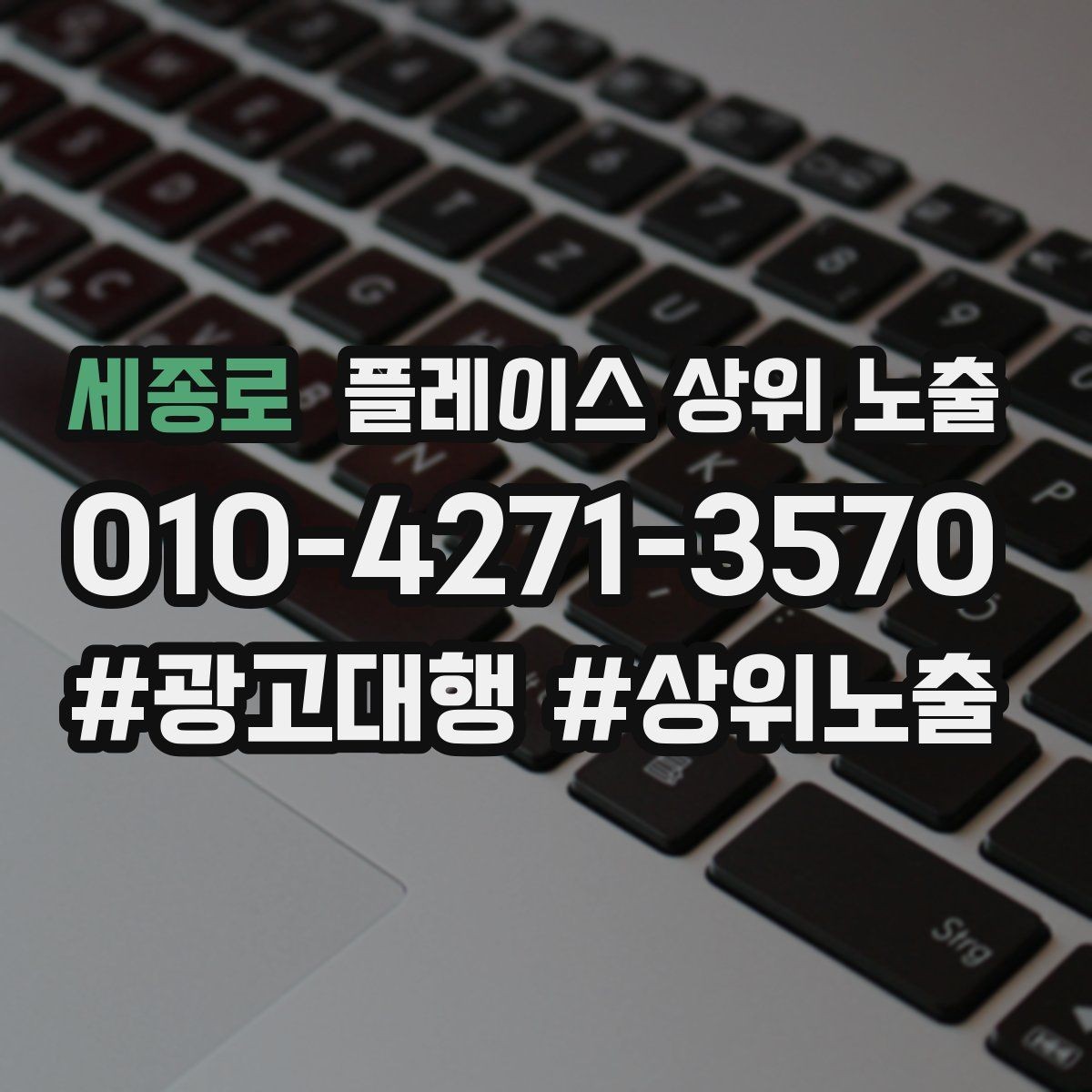 세종로 플레이스 상위 노출 첫 달에 리뷰 기반을 만드는 현실 전략