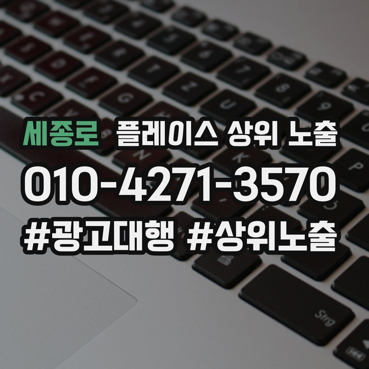 세종로 플레이스 상위 노출