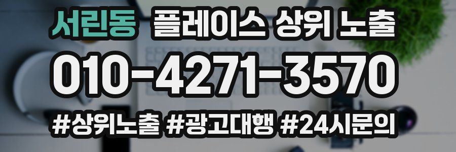 서린동 플레이스 상위 노출