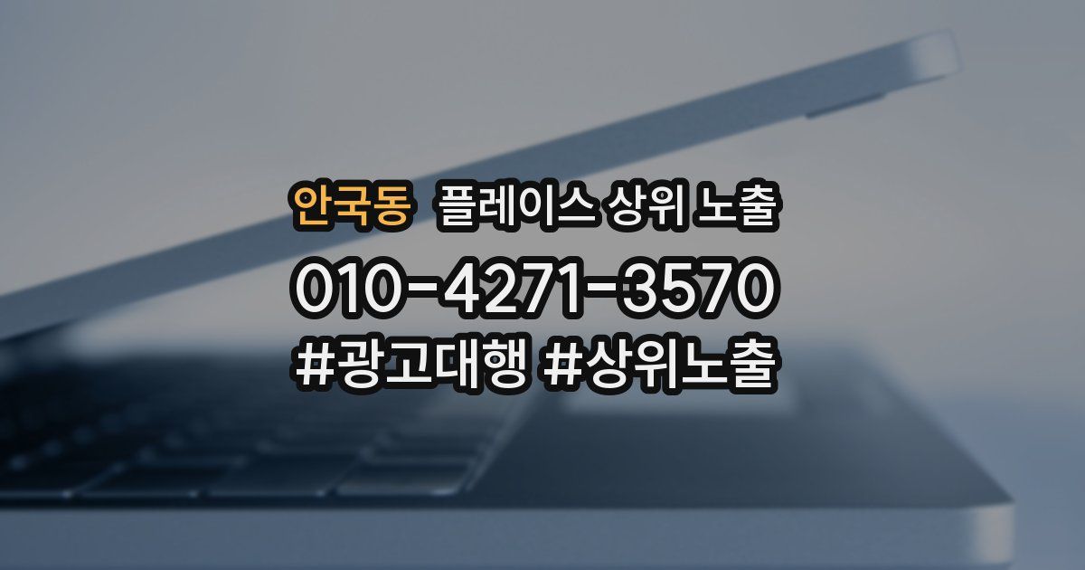 안국동 플레이스 상위 노출