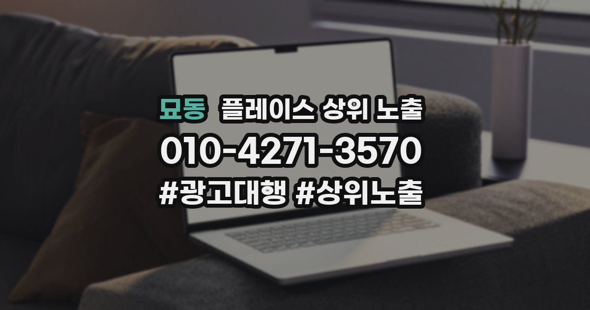 묘동 플레이스 상위 노출