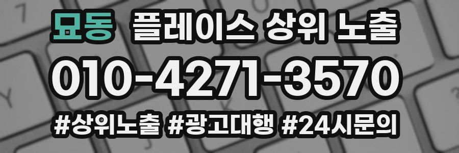 묘동 플레이스 상위 노출