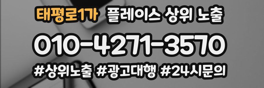 태평로1가 플레이스 상위 노출