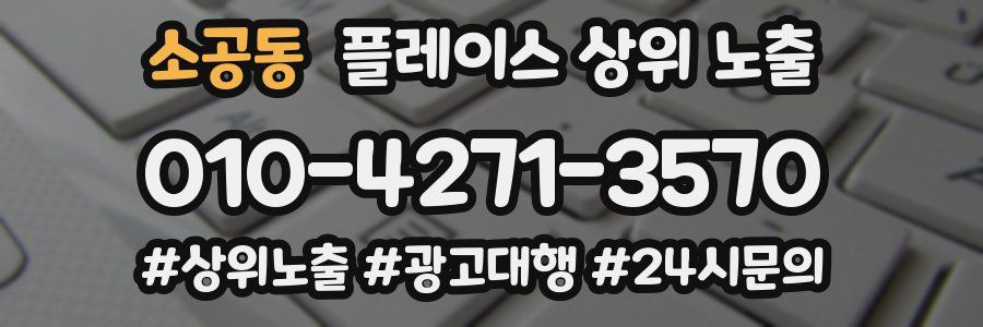 소공동 플레이스 상위 노출