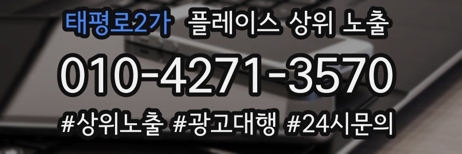 태평로2가 플레이스 상위 노출