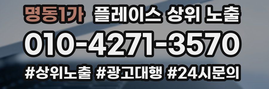 명동1가 플레이스 상위 노출