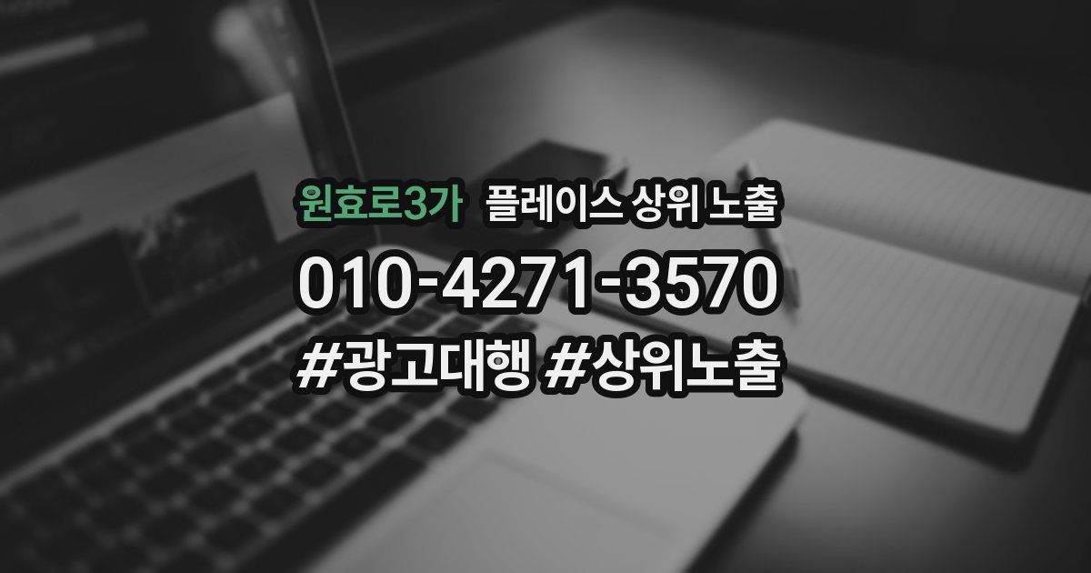 원효로3가 플레이스 상위 노출