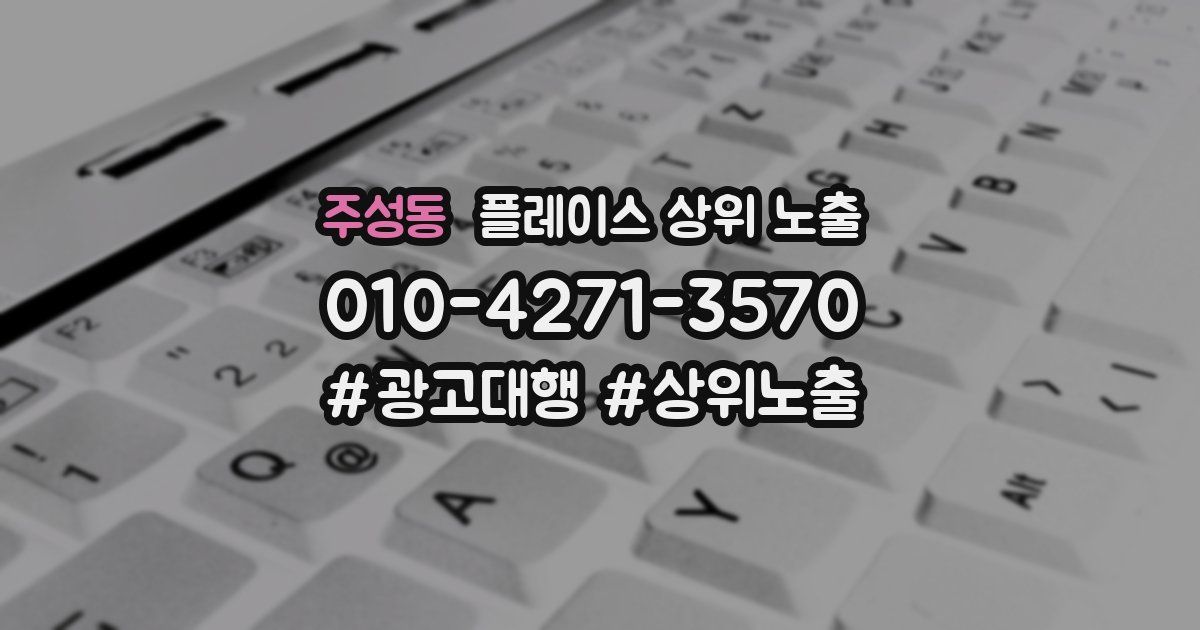 주성동 플레이스 상위 노출