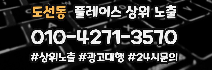 도선동 플레이스 상위 노출