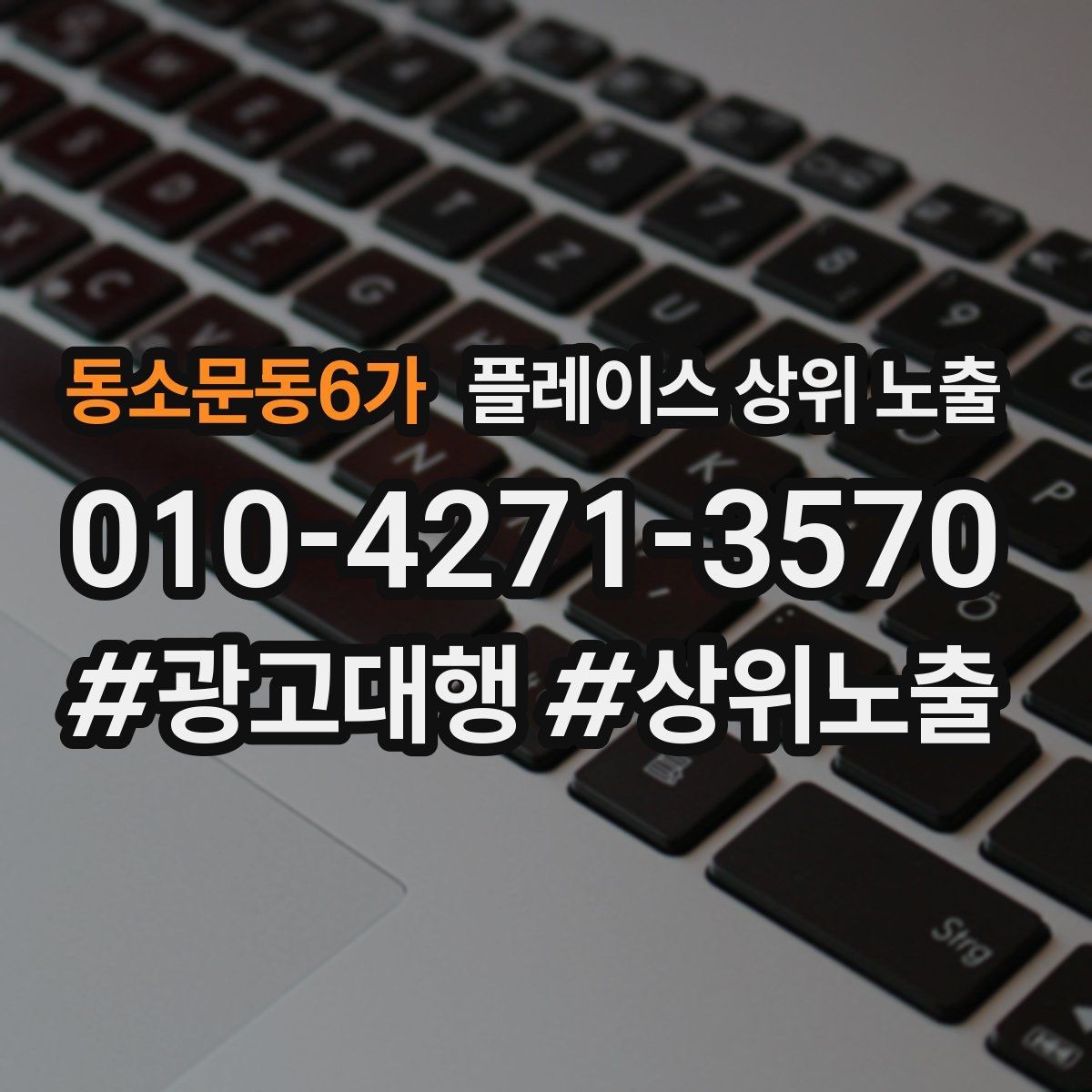 동소문동6가 플레이스 상위 노출 카테고리가 틀리면 노출이 꼬이는 이유