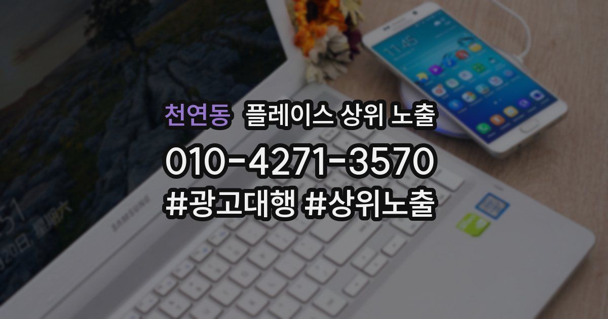 천연동 플레이스 상위 노출