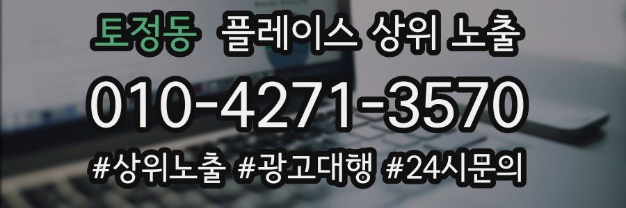토정동 플레이스 상위 노출